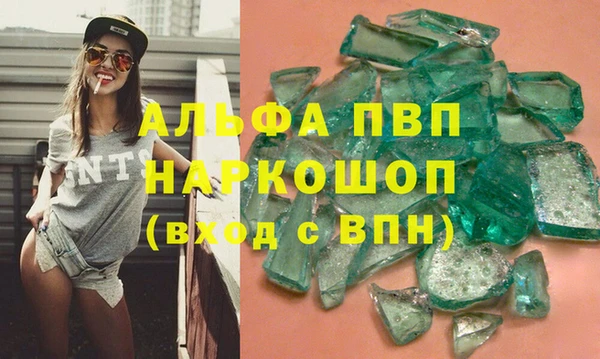 стафф Галич