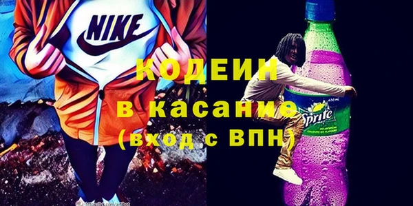 шишки Гвардейск