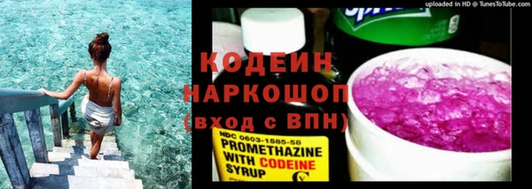 apvp Гатчина