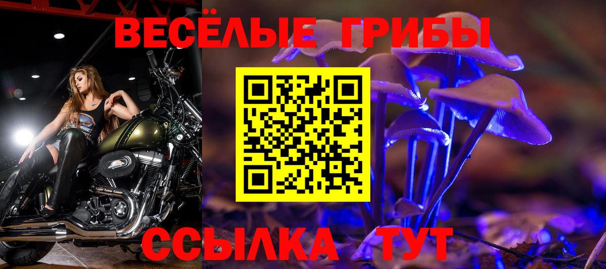 Псилоцибиновые грибы Psilocybine cubensis  Вход с VPN  Конаково 